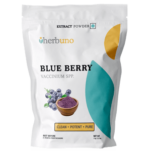 Blueberry Extract Powder - Vaccinium corymbosum - Bulk Supplier India
