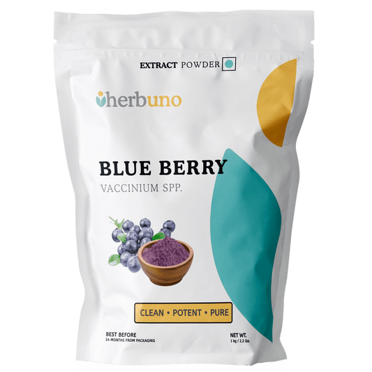 Blueberry Extract Powder - Vaccinium corymbosum - Herbuno.Com