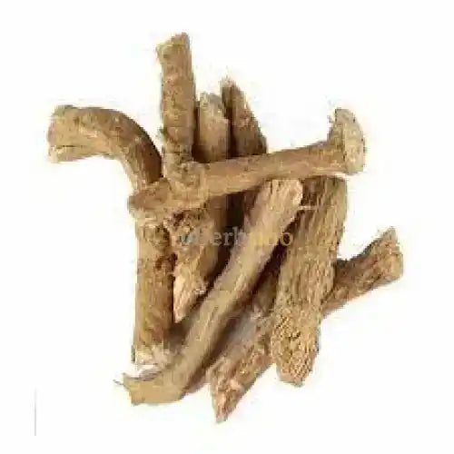 Boerhavia Diffusa (Punarnava) Extract Powder - Herbuno.Com