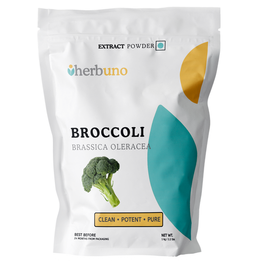 Broccoli Extract Powder - Brassica oleracea - Herbuno (Gausyn Global LLP)