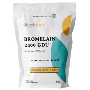 Bromelain Powder 2400 GDU - Bulk Supplier India