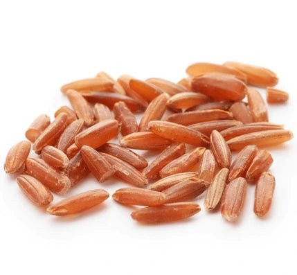 Brown Rice Liquid Extract (Water Soluble) - Oryza Sativa - Herbuno.Com