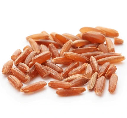 Brown Rice Water Soluble Extract - Oryza Sativa - Herbuno.Com