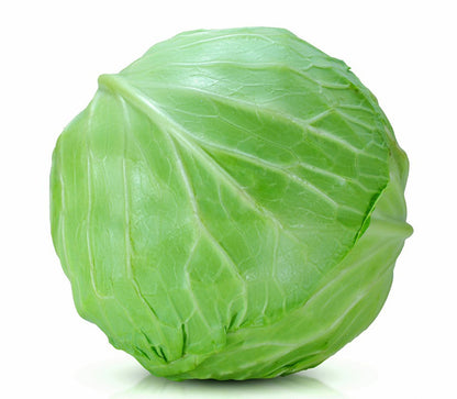 Green cabbage on a white background