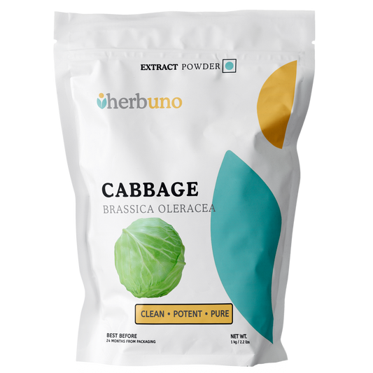 Cabbage Extract Powder - Brassica oleracea - Herbuno (Gausyn Global LLP)
