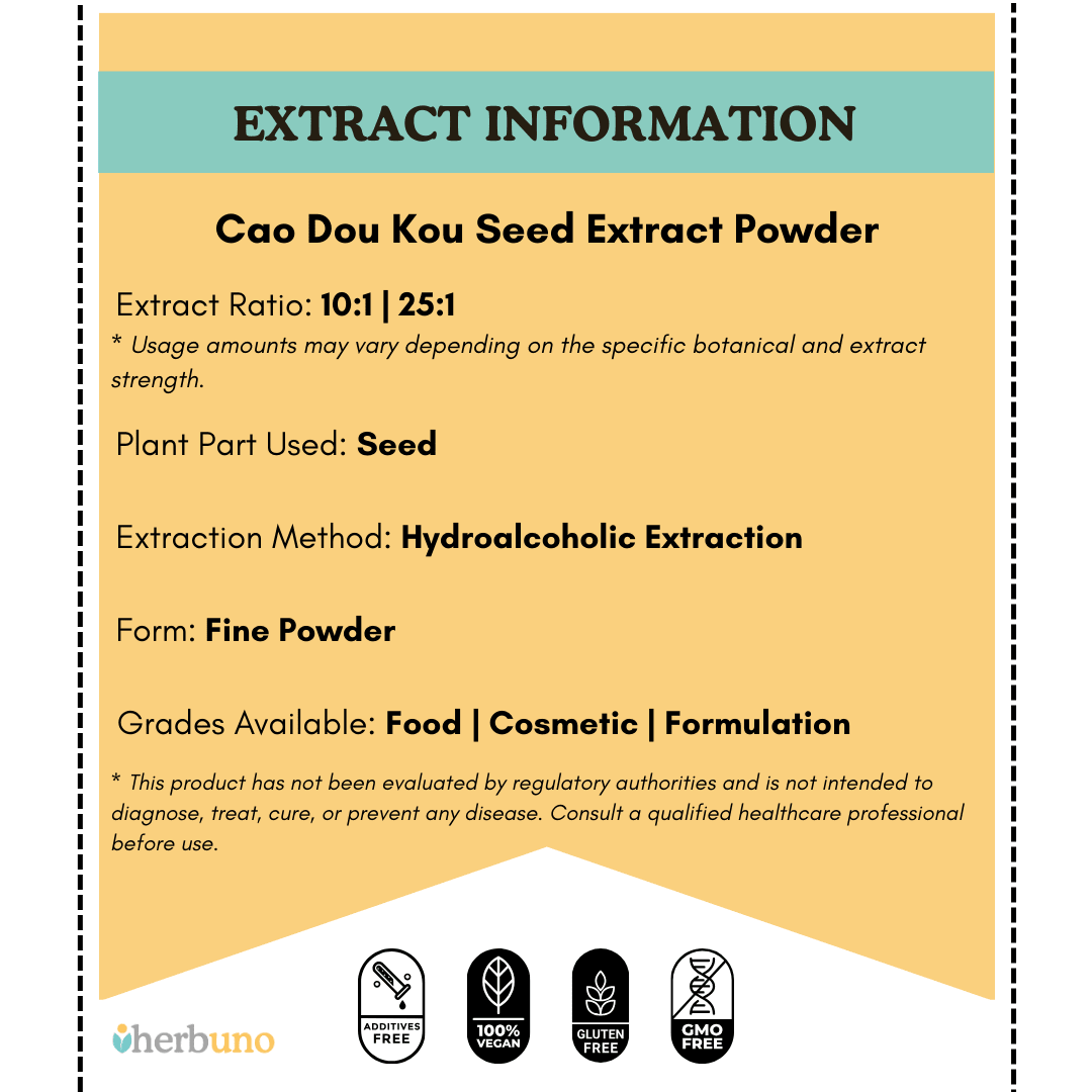 Cao Dou Kou Seed Extract Powder - Alpinia katsumadai  - Bulk Supplier India  - shop_name