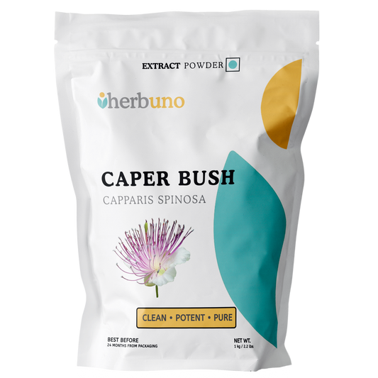 Blaubeerextraktpulver