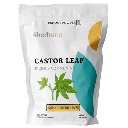 Castor Leaf Extract Powder - Ricinus Communis Linn - Herbuno.Com