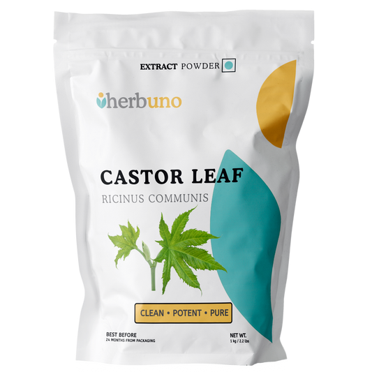 Castor Leaf Extract Powder - Ricinus Communis Linn - Herbuno.Com