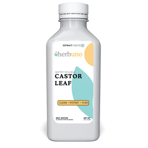 Castor Leaf Liquid Extract (Water Soluble) - Ricinus Communis Linn| Arandi Patta Ras - Bulk Supplier India