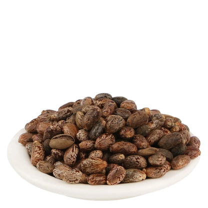 Castor Seed Extract Powder - Ricinus Communis Linn - Herbuno.Com