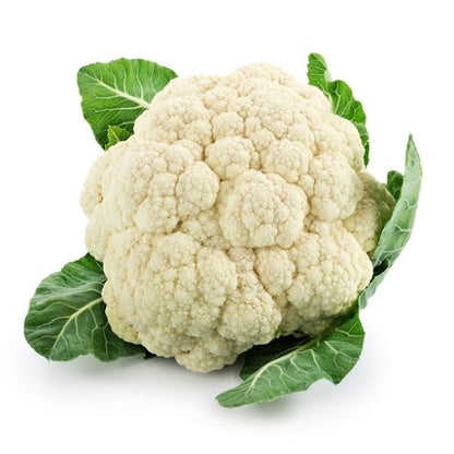 Cauliflower Extract Powder - Brassica oleracea