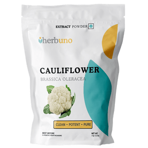 Cauliflower Extract Powder - Brassica oleracea - Bulk Supplier India