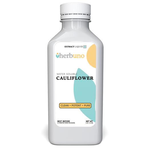 Cauliflower Water Soluble Extract - Brassica oleracea - Herbuno.Com