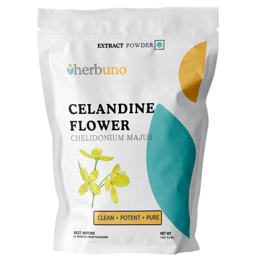 Celandine Extract Powder - Chelidonium majus - Herbuno.Com
