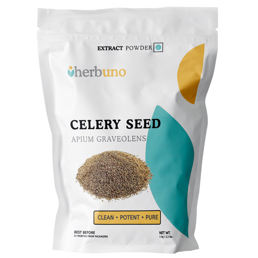 Celery Seed Extract Powder - Apium graveolens - Herbuno.Com