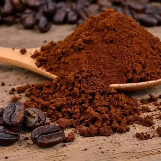 Chicory Powder - Herbuno.Com