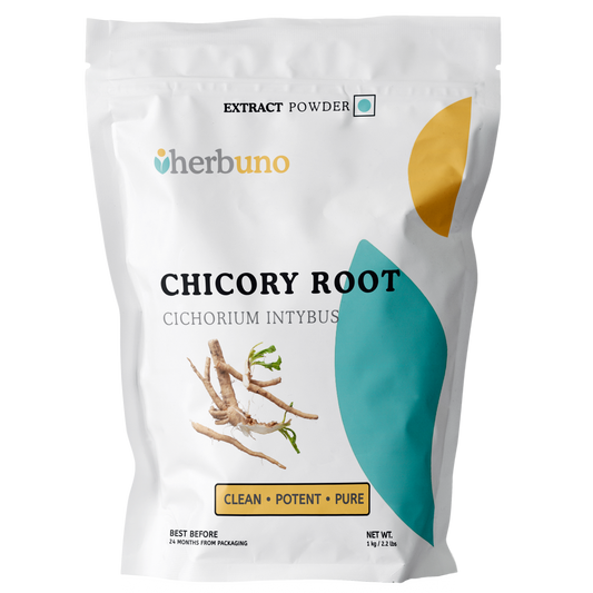 Chicory Root Extract Powder - Cichorium intybus - Herbuno.Com
