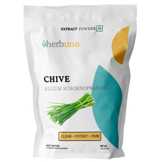 Chive Extract Powder - Allium schoenoprasum - Herbuno.Com