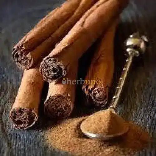 Cinnamon Bark Liquid Extract (Water Soluble) - Cinnamomum zeylanicum - Herbuno.Com