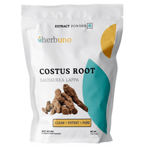 Costus Root Extract Powder - Saussurea Lappa - Bulk Supplier India