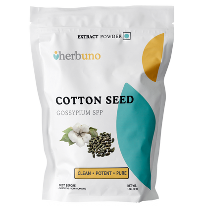 Cotton Seed Extract Powder - Gossypium spp - Herbuno.Com