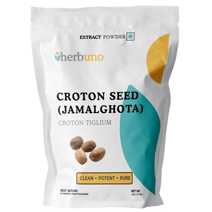 Croton Seed Extract (Jamalghota) Powder - Croton Tiglium  - Bulk Supplier India  - shop_name