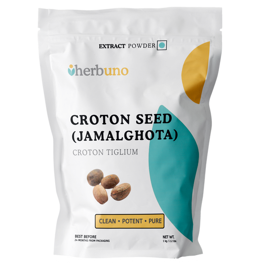 Croton Seed Extract (Jamalghota) Powder - Croton Tiglium - Herbuno.Com