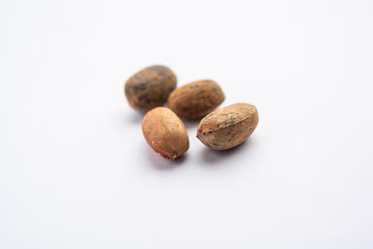 Croton Seed Water Soluble Extract (Jamalghota) - Croton Tiglium - Herbuno.Com