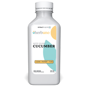 Cucumber Liquid Extract (Water Soluble) - Cucumis sativus| Kheera Ras - Bulk Supplier India