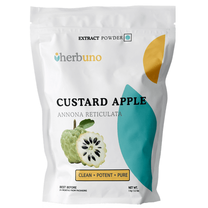 Custard Apple Fruit Extract Powder - Annona reticulata  - Bulk Supplier India  - shop_name