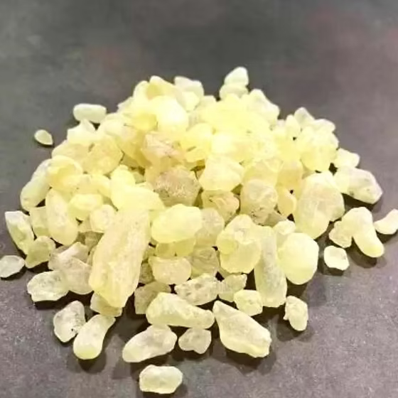 Damar Gum Extract Powder - Shorea robusta - Herbuno.Com