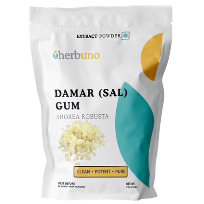 Damar Gum Extract Powder - Shorea robusta - Herbuno.Com