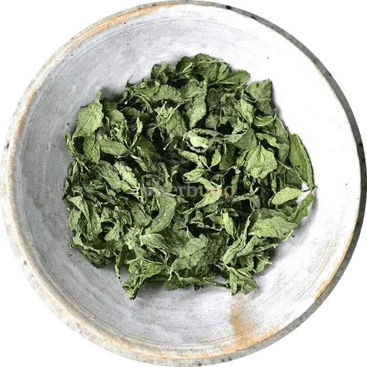 Mint Leaf Liquid Extract (Water Soluble) - Mentha spicata  - Bulk Supplier India  - shop_name