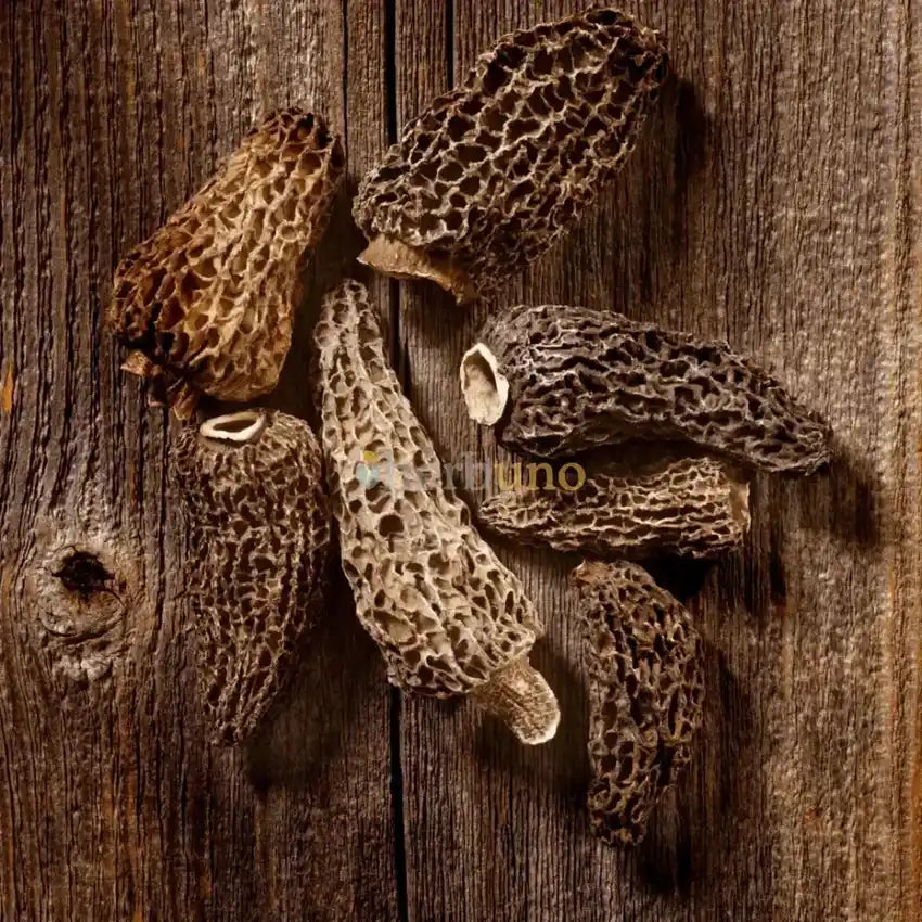 Dehydrated Morel Mushrooms - Gourmet Umami Flavor - Herbuno.Com