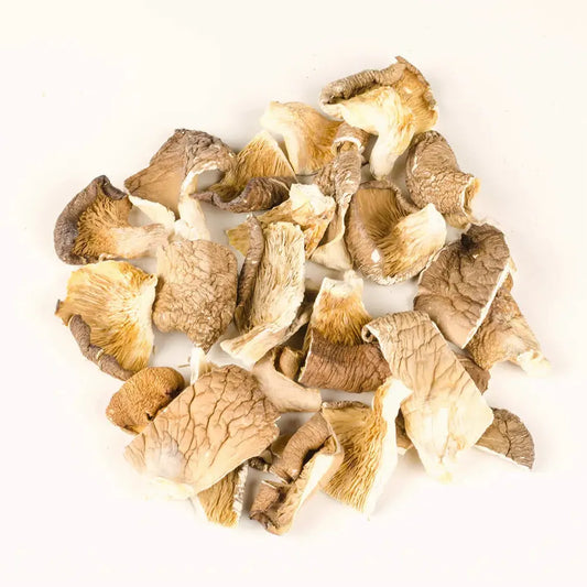 Dehydrated Oyster Mushroom - Pleurotus ostreatus.