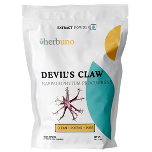 Devil's Claw Extract Powder - Harpagophytum procumbens - Bulk Supplier India