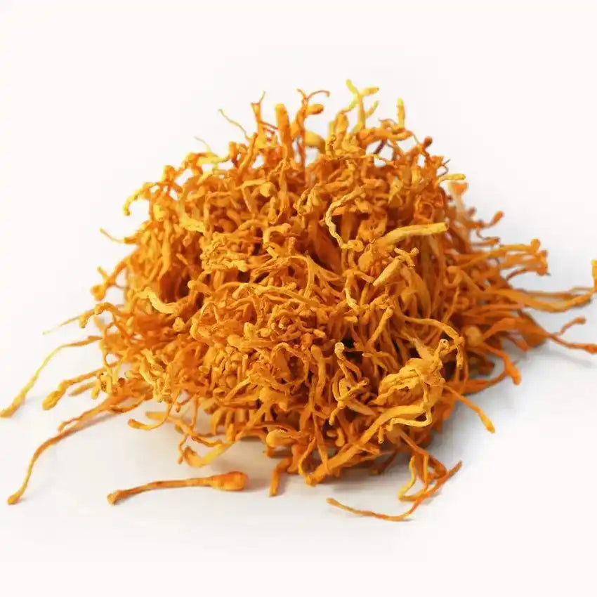 Dried Cordyceps Mushroom - Cordyceps militaris - Herbuno.Com
