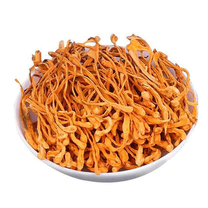Dried Cordyceps Mushroom - Cordyceps militaris - Herbuno.Com
