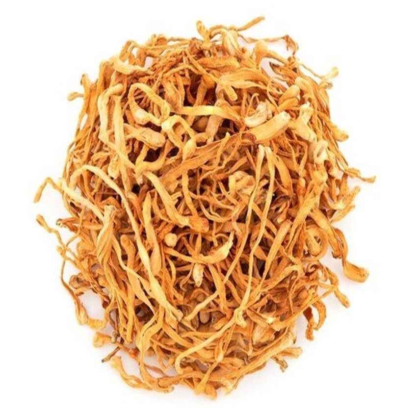 Dried Cordyceps Mushroom - Cordyceps militaris - Herbuno.Com