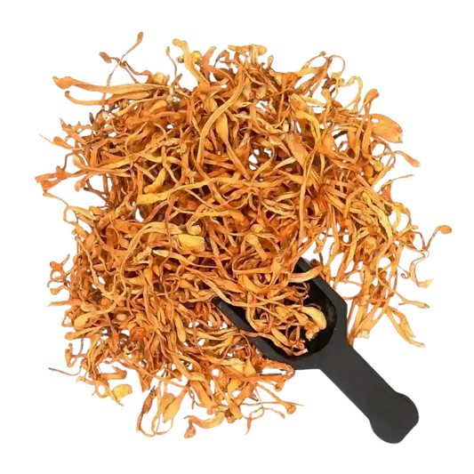 Dried Cordyceps Mushroom - Cordyceps militaris - Herbuno (Gausyn Global LLP)