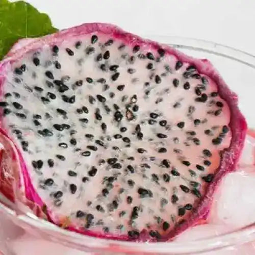 Dried Dragon Fruit Slices - Hylocereus undatus - Herbuno.Com