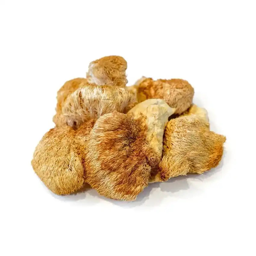 Dried Lion’s Mane Mushroom Slices - Herbuno.Com