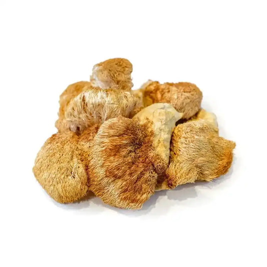Dried Lion’s Mane Mushroom Slices - Herbuno.Com