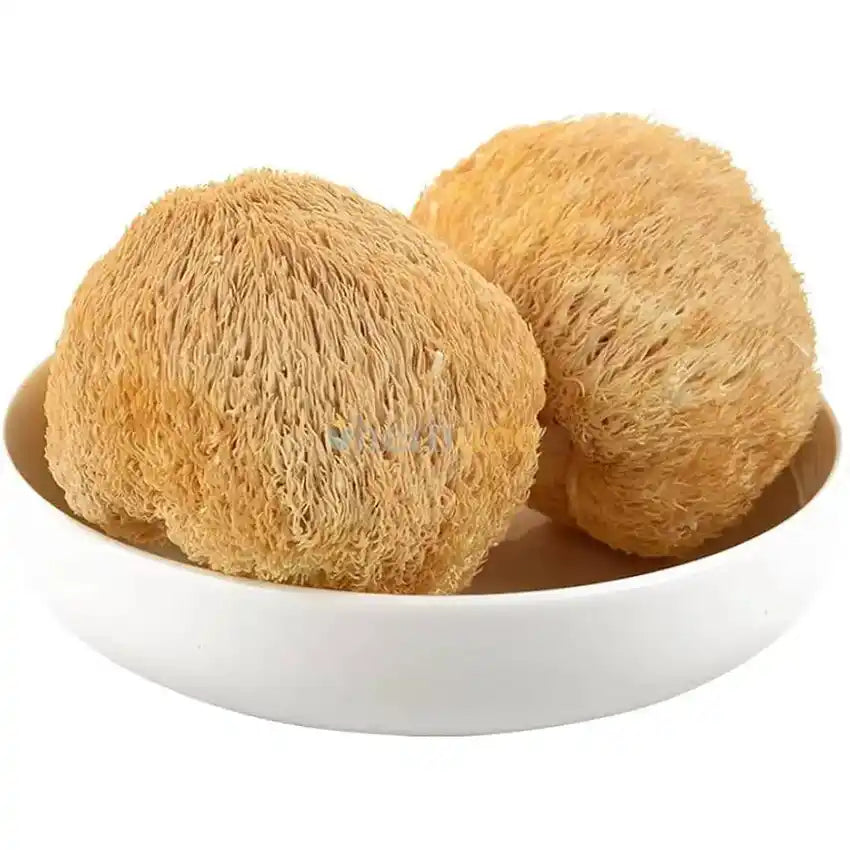 Dried Lion’s Mane Mushroom Slices - Herbuno.Com