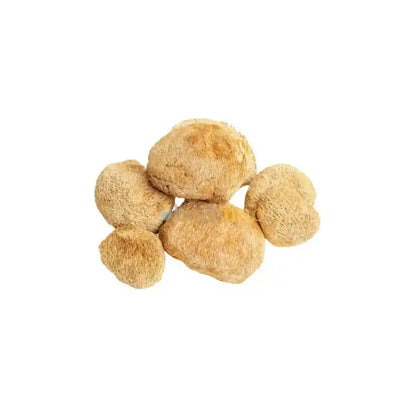 Dried Lion’s Mane Mushroom Slices - Herbuno.Com