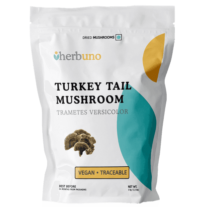 Dried Turkey Tail Mushroom Slices - Herbuno.Com