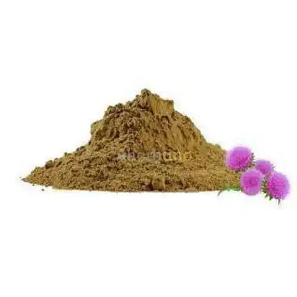 East Indian Globe Thistle (Gorakhmundi) Extract Powder  - Bulk Supplier India  - shop_name