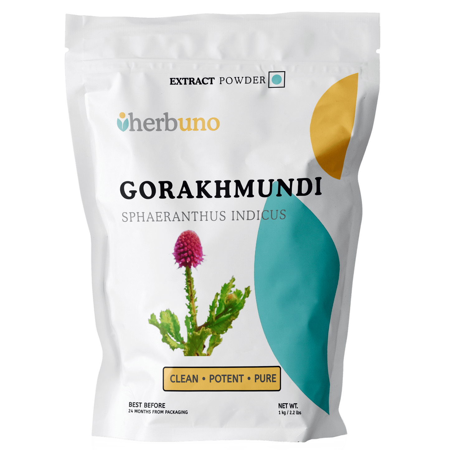 East Indian Globe Thistle (Gorakhmundi) Extract Powder  - Bulk Supplier India  - shop_name