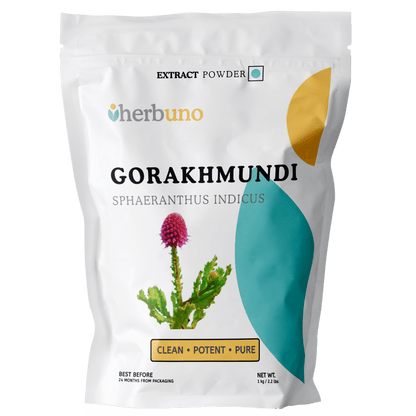 East Indian Globe Thistle (Gorakhmundi) Extract Powder  - Bulk Supplier India  - shop_name